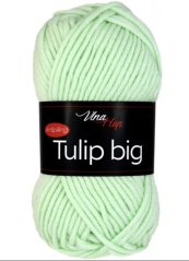 Tulip BIG