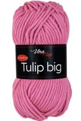 Tulip BIG
