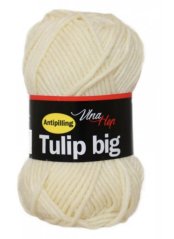Tulip BIG