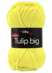 Tulip BIG